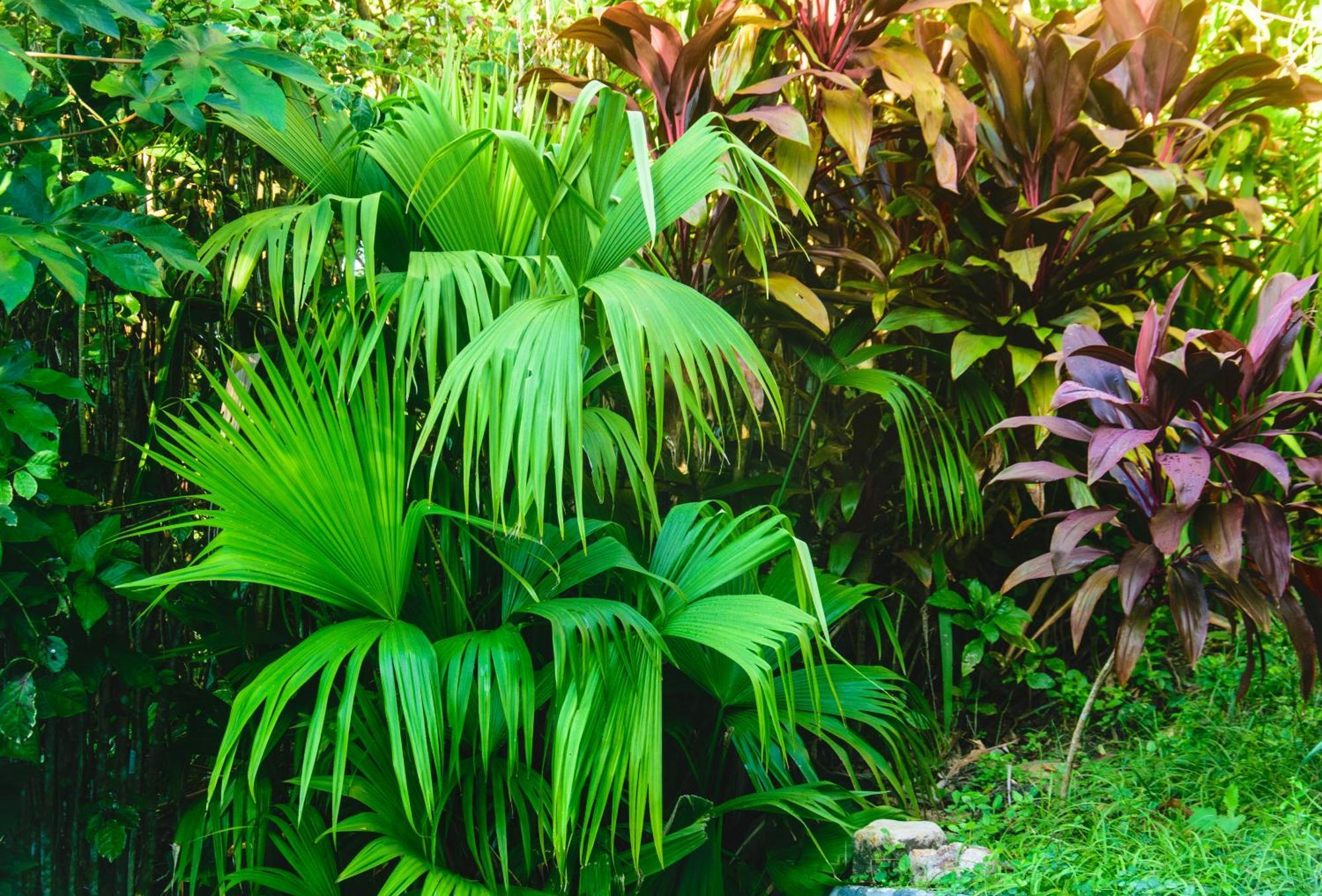 Pousada Jardim Das Bromelias Porto Seguro Exteriör bild